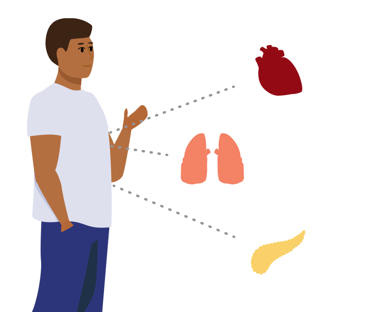 An illustration of a smiling man with illustrations of a heart, lungs, and pancreas pointing to approximately where they are located in the man's body