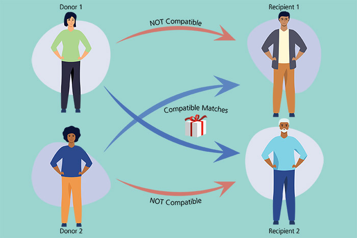 kidney donors paired with recipients