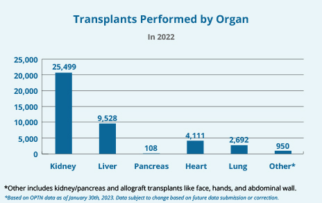 A bar graph showing how many transplants were performed in 2022 by organ. Click the following "Detailed Description" link for more details.