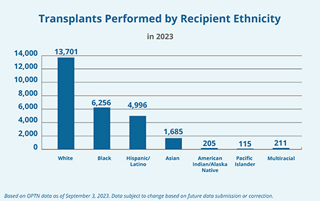Un gráfico de barras que muestra la cantidad de trasplantes realizados en 2023 por origen étnico del beneficiario. Visite el enlace a continuación Descripción detallada para obtener más información.