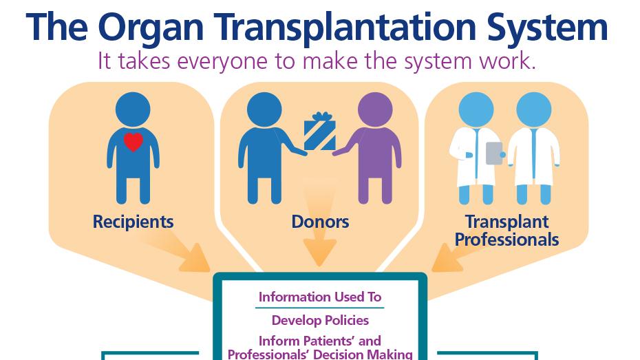El sistema de trasplante de órganos