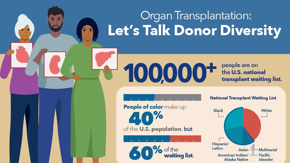 La imagen de muestra de una infografía que explica que cuanto más donantes de órganos haya le da a cada paciente una mejor oportunidad de encontrar una compatibilidad que les salve la vida.