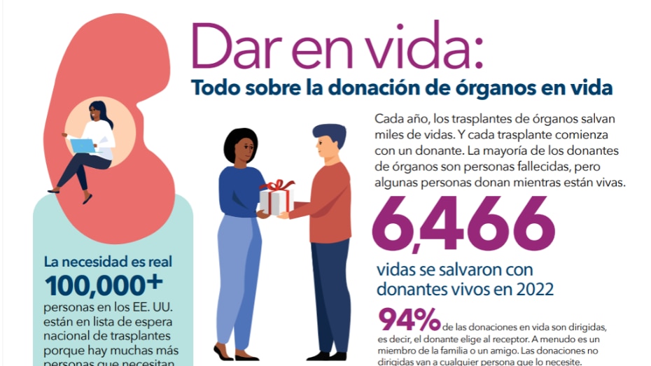 Una infografía que muestra el proceso y las estadísticas de donación de órganos en vida.