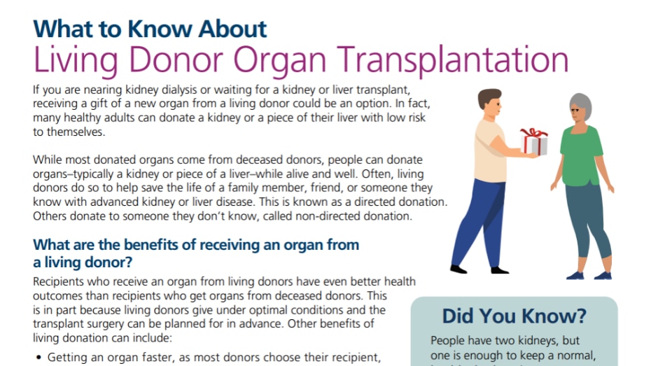 Una hoja de datos que explica la información, los beneficios y las consideraciones sobre la donación de órganos en vida para los posibles receptores de trasplantes de donantes vivos.