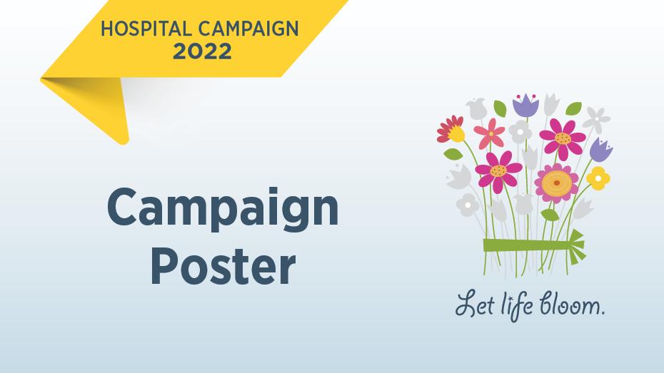Enliven Public Spaces: Poster