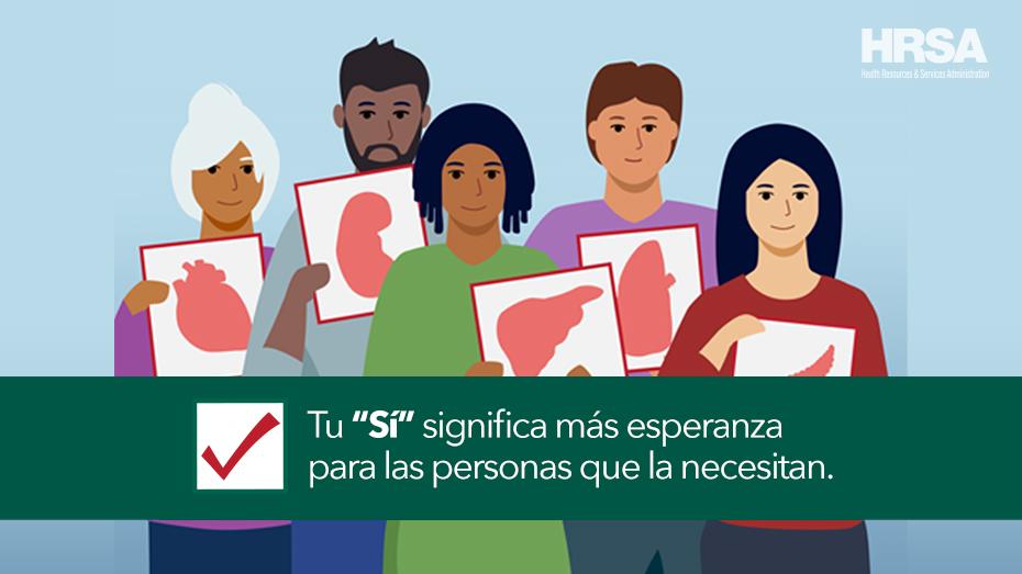 An illustration of many people holding up illustrations of organs. Text reads, "Tu 'Sí' significa más esperanza para las personas que la necesitan."